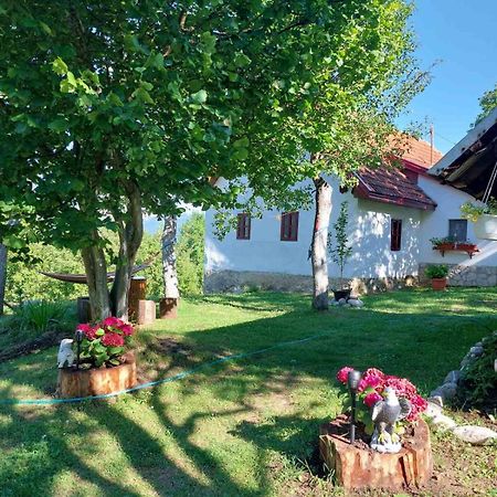 Etno guest house Lalovic Tjentiste Exteriér fotografie