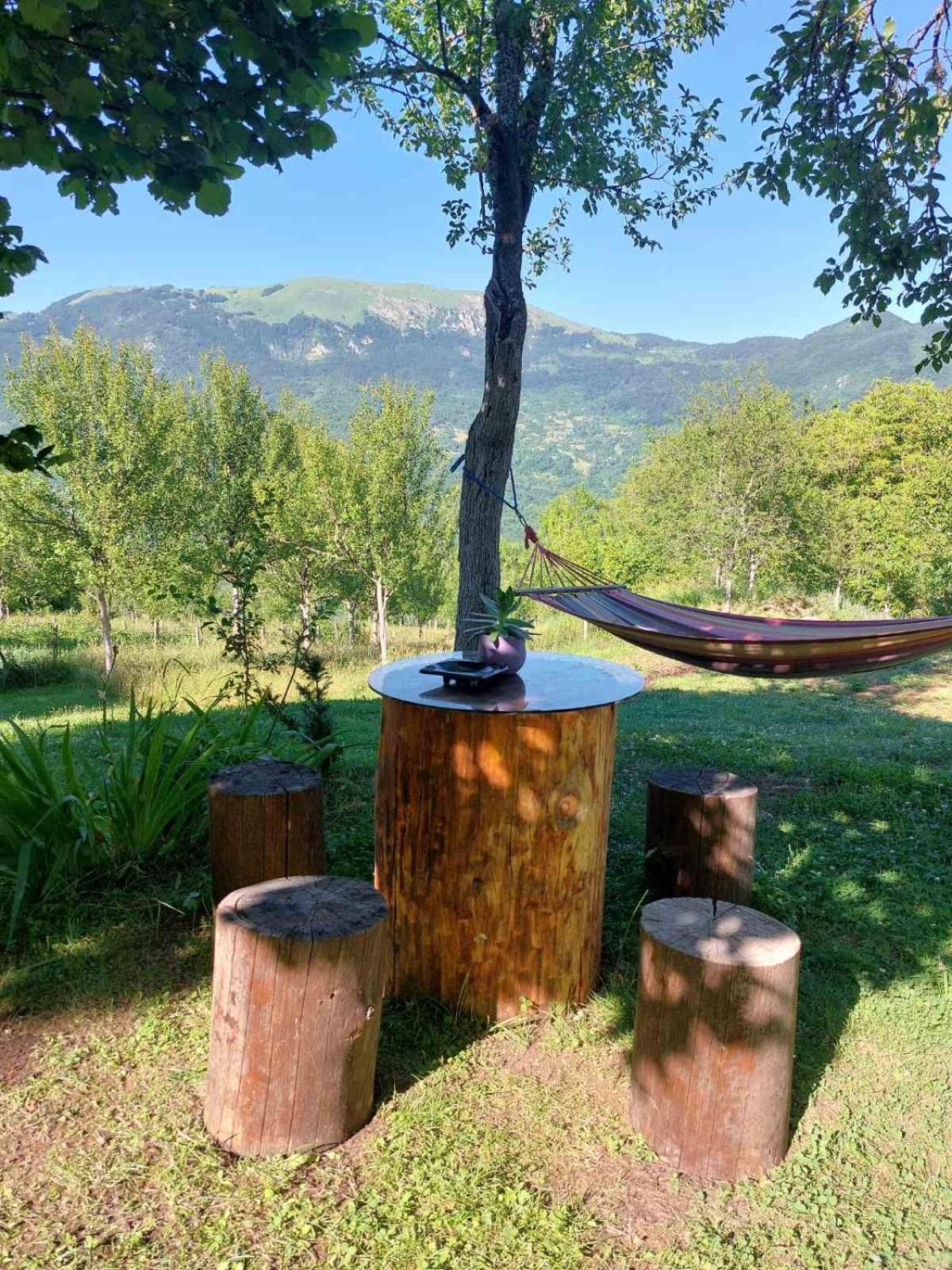 Etno guest house Lalovic Tjentiste Exteriér fotografie