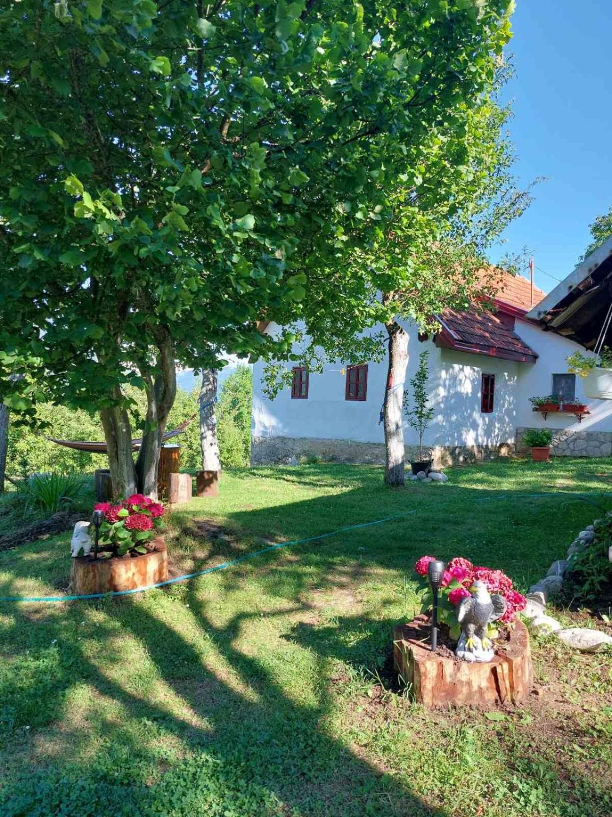Etno guest house Lalovic Tjentiste Exteriér fotografie