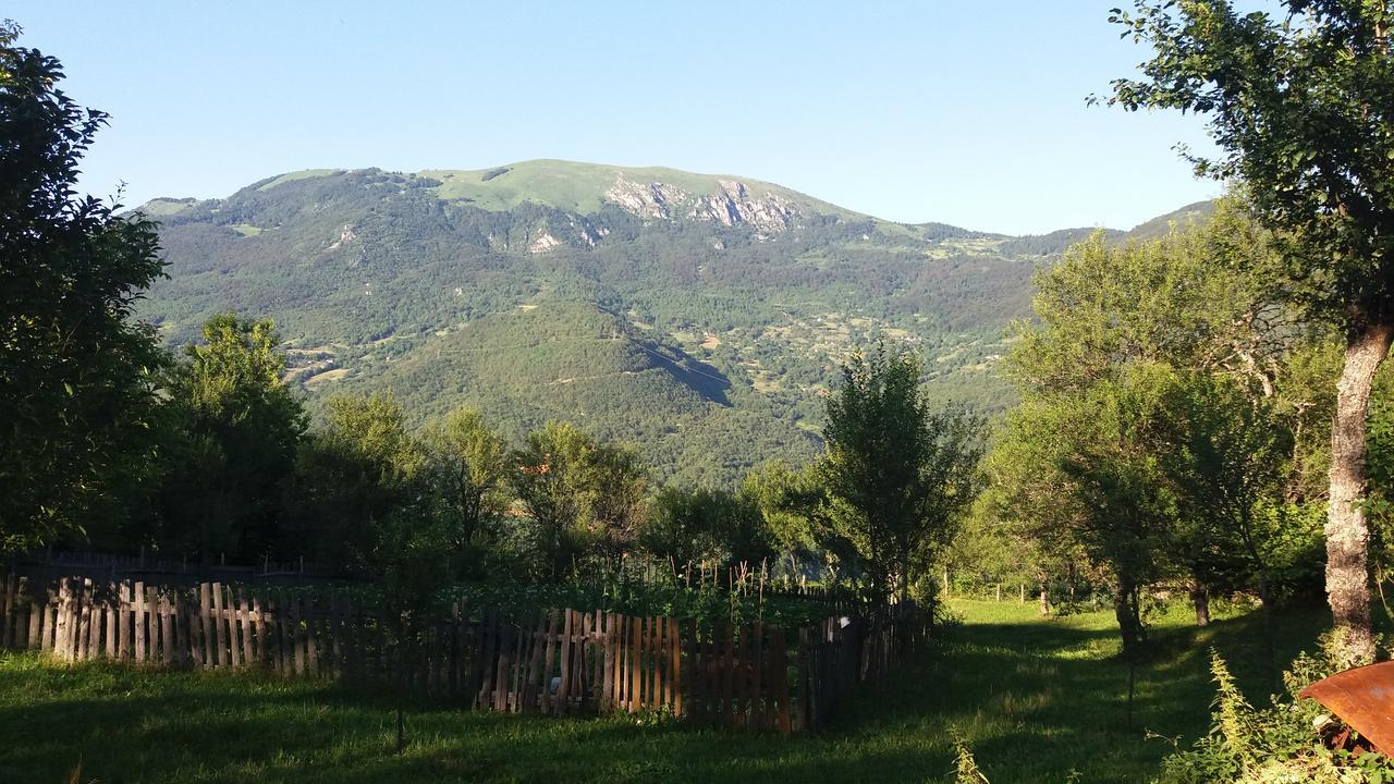 Etno guest house Lalovic Tjentiste Exteriér fotografie