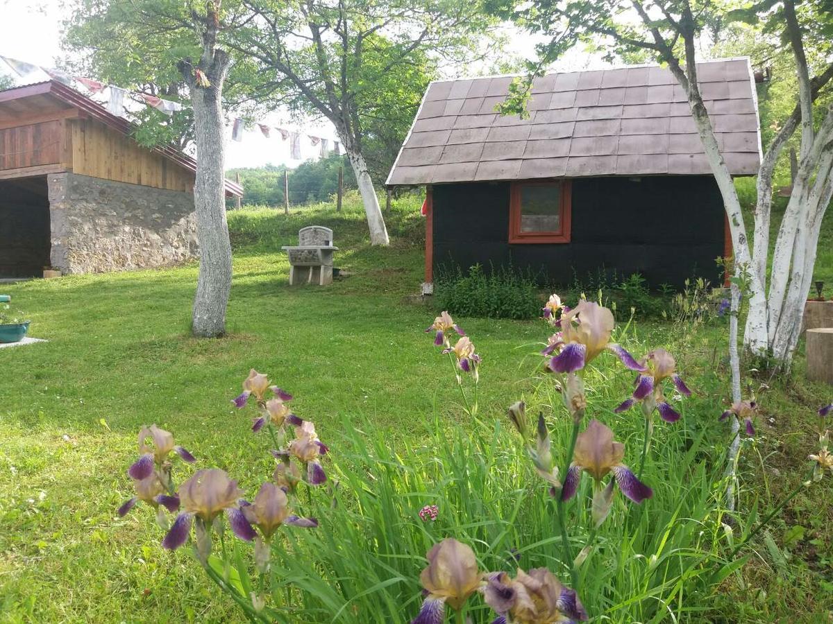 Etno guest house Lalovic Tjentiste Exteriér fotografie
