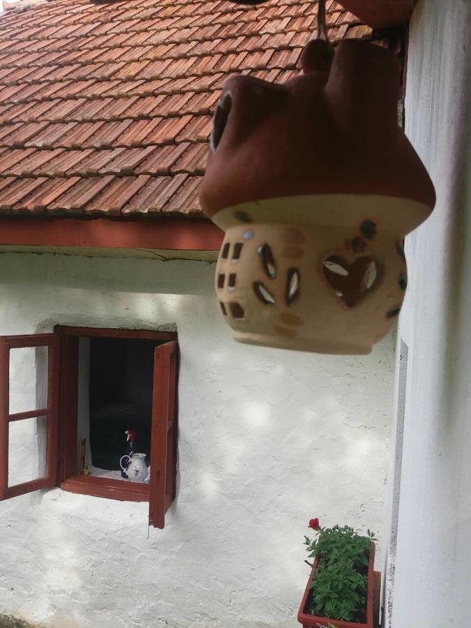 Etno guest house Lalovic Tjentiste Exteriér fotografie